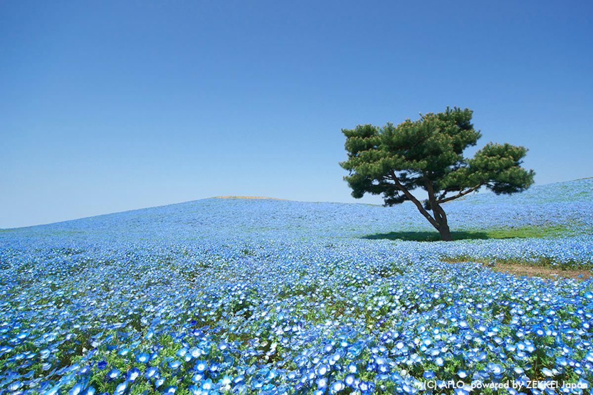 絶景風景