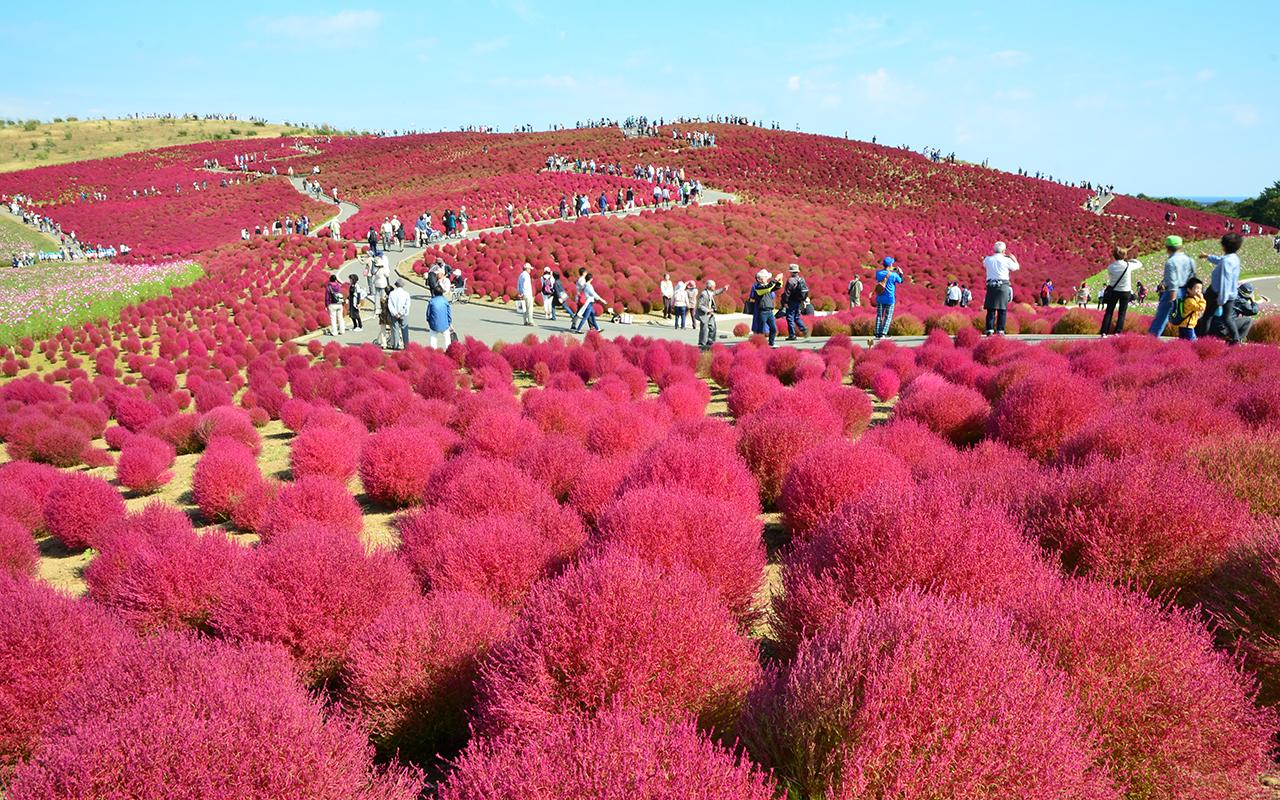 絶景風景