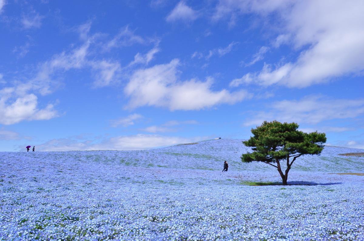 絶景風景