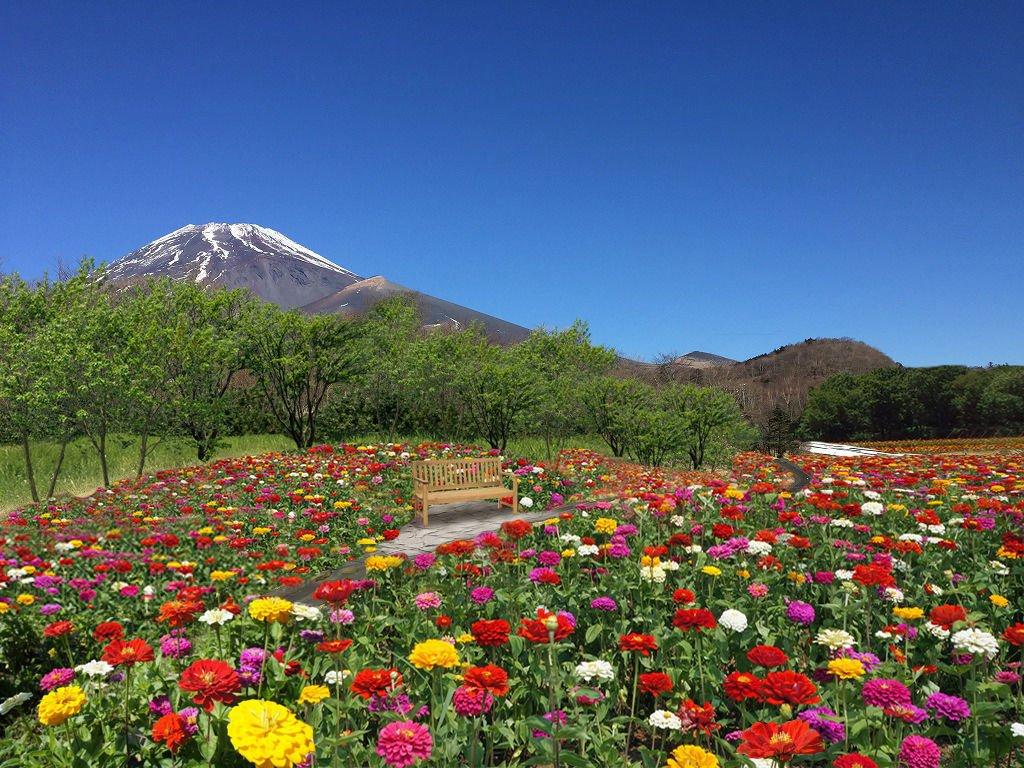 絶景風景