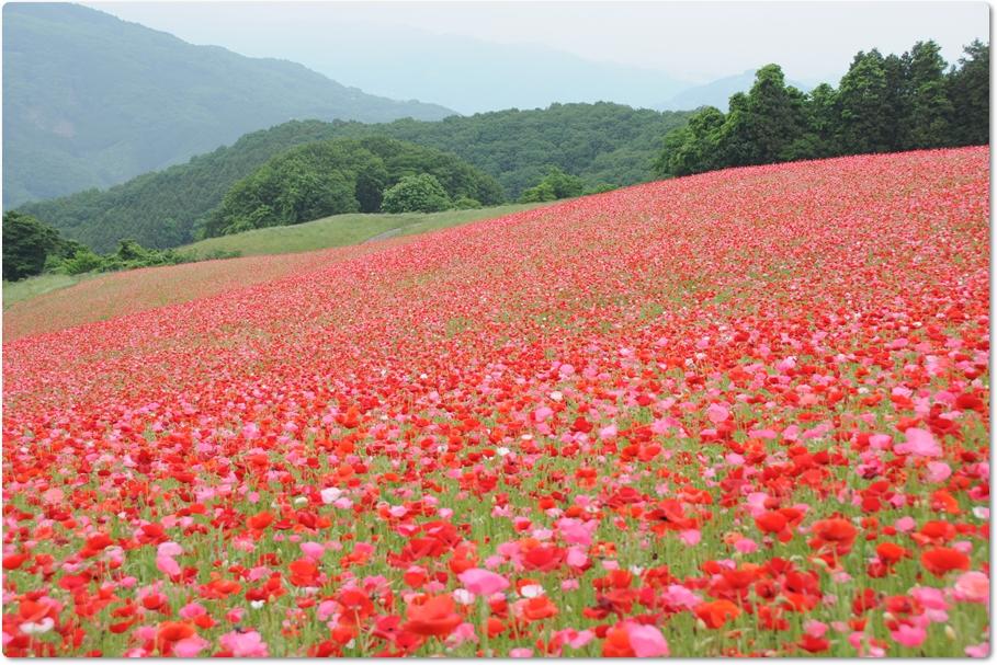 絶景風景