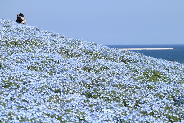 絶景風景