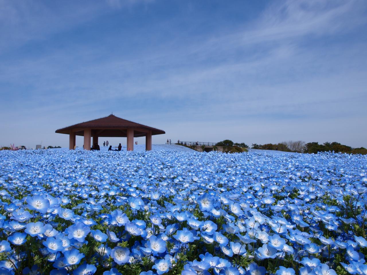 絶景風景