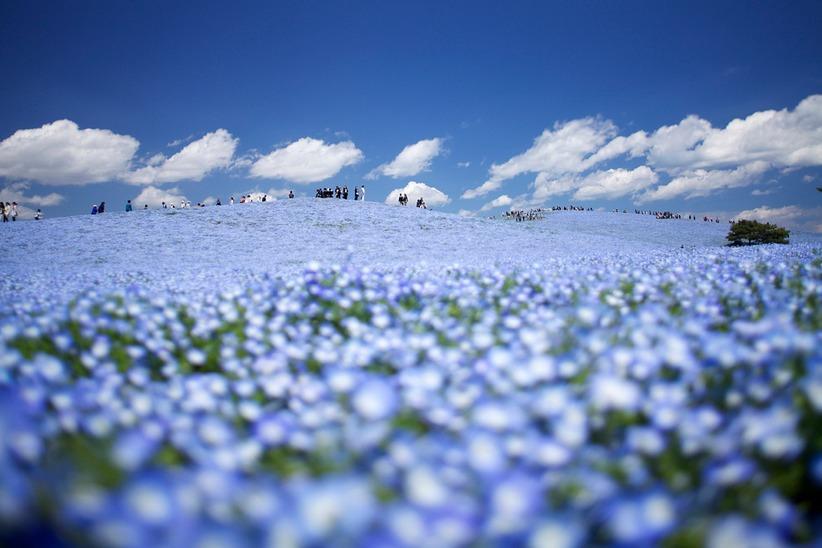 絶景風景