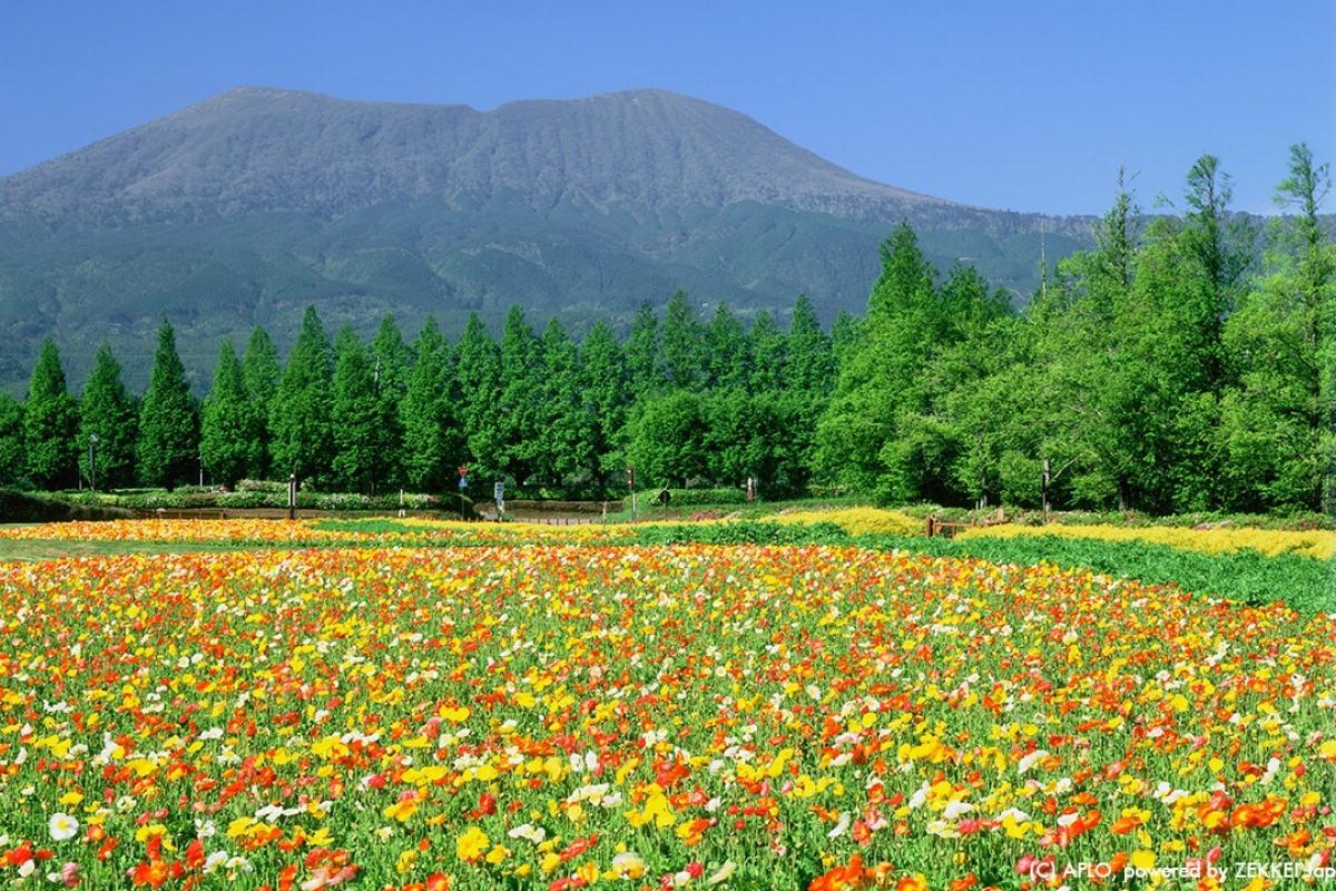 絶景風景