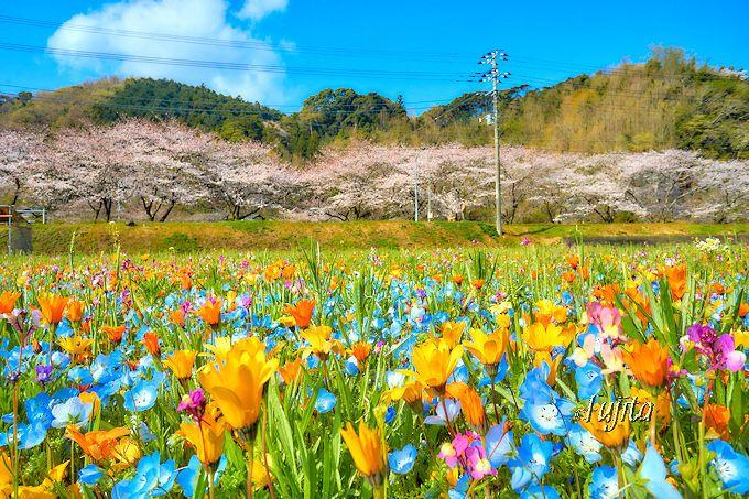 絶景風景