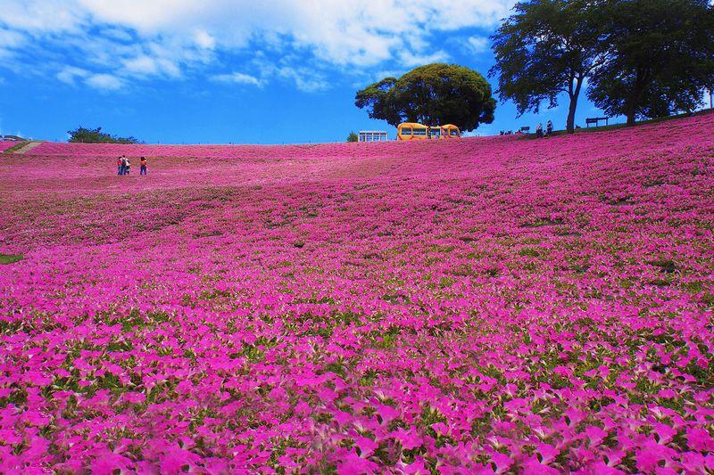 絶景風景