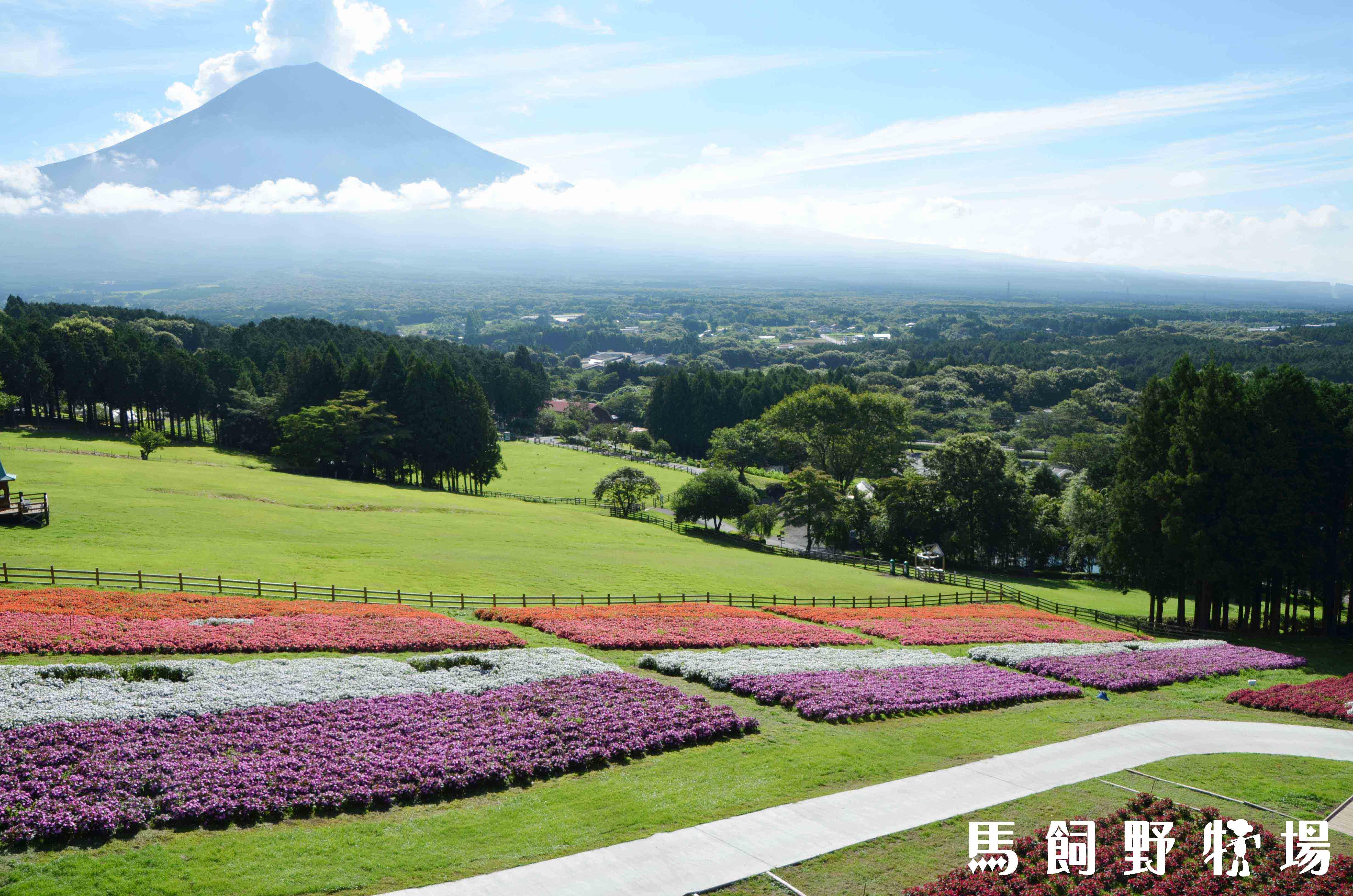 絶景風景