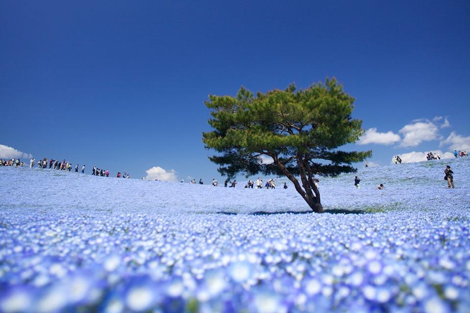 絶景風景