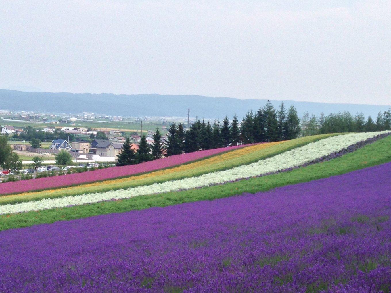 絶景風景