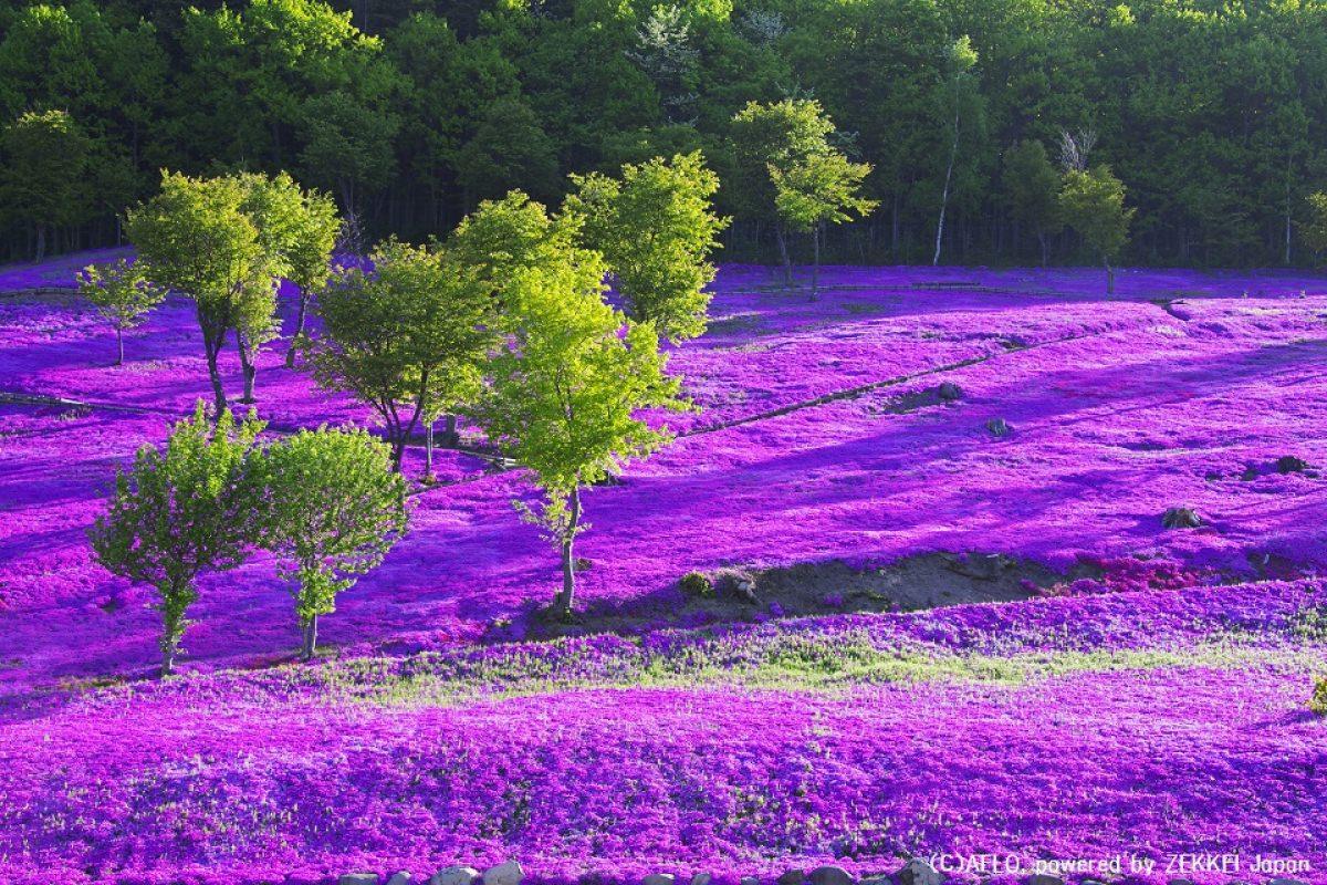 絶景風景