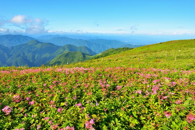絶景風景