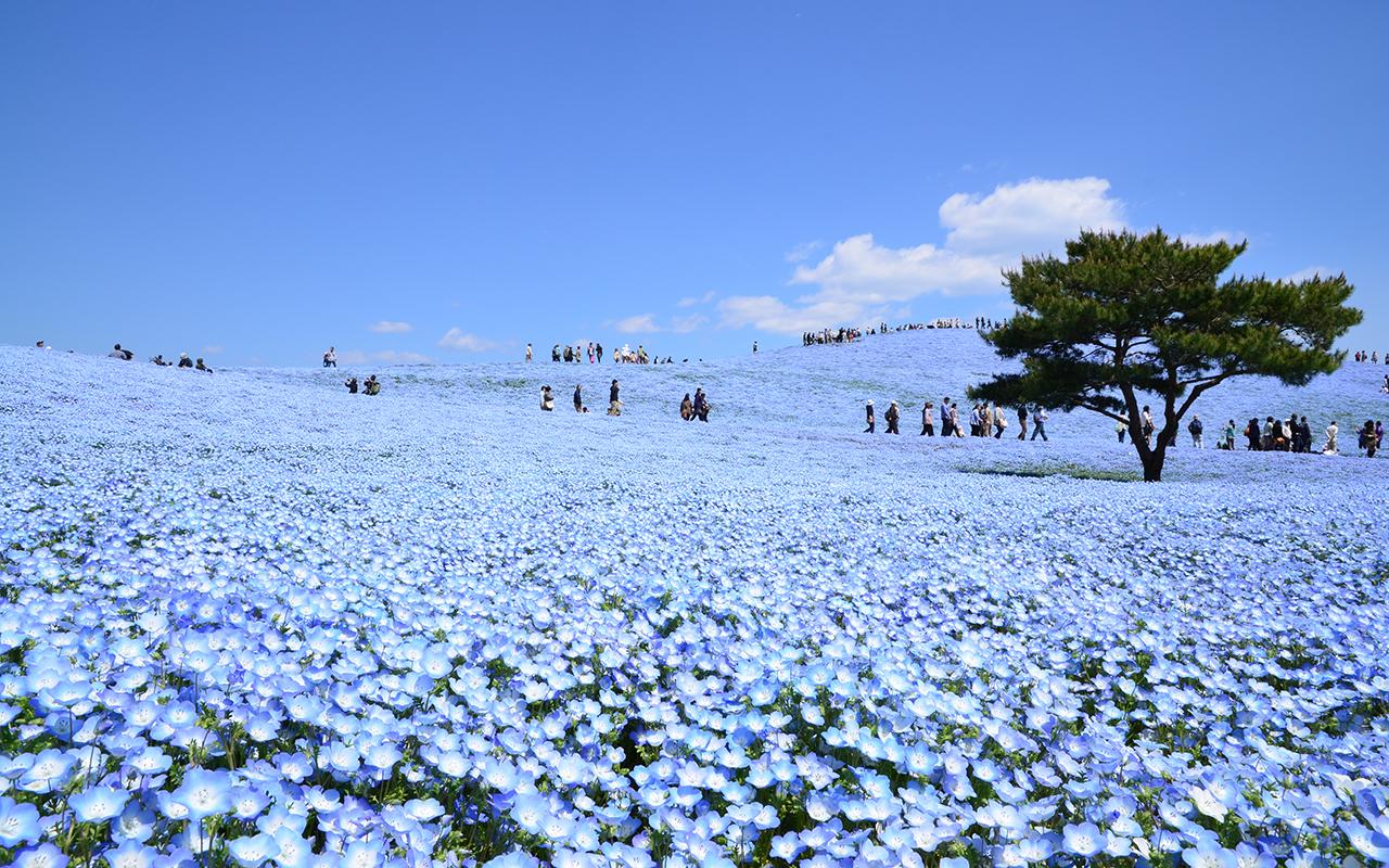 絶景風景