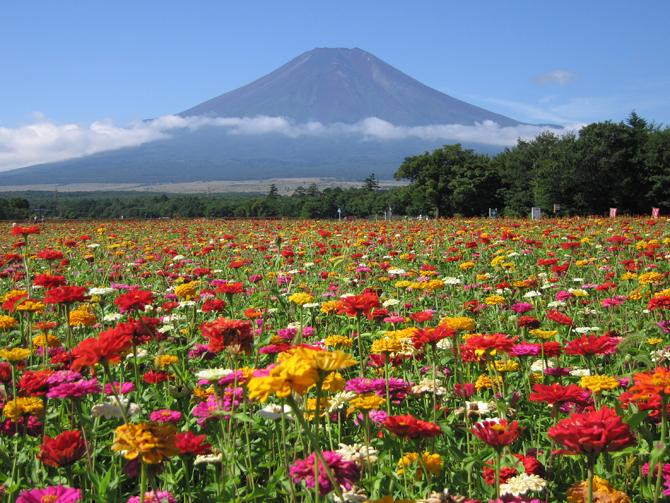 絶景風景