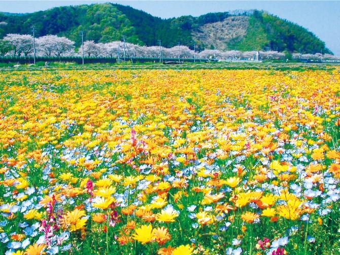絶景風景