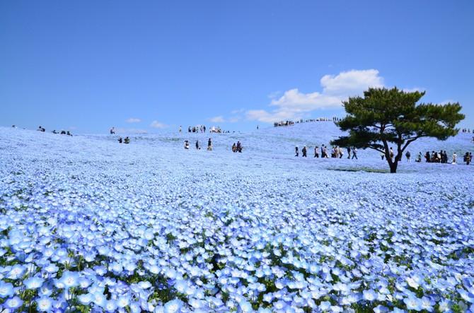 絶景風景