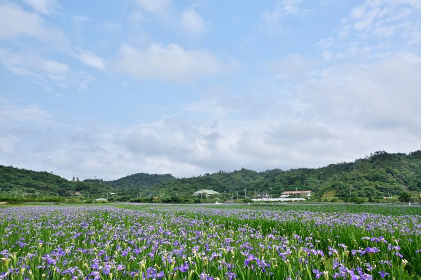 絶景風景