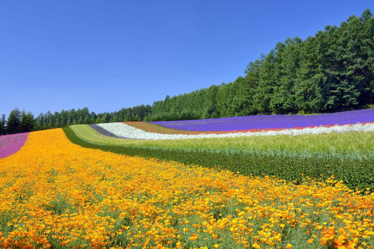 絶景風景