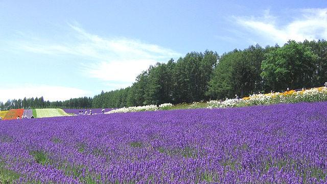 絶景風景