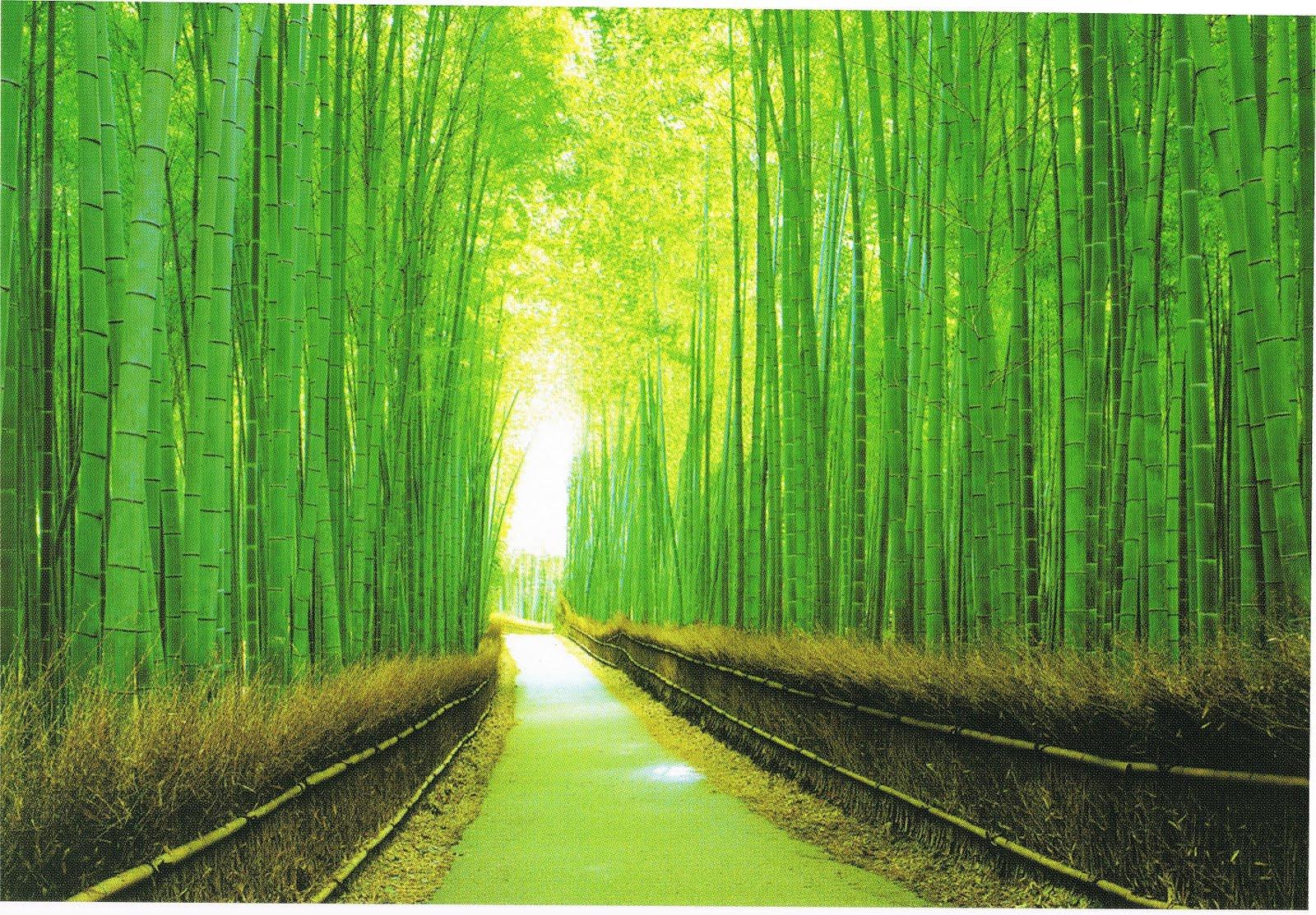 絶景風景