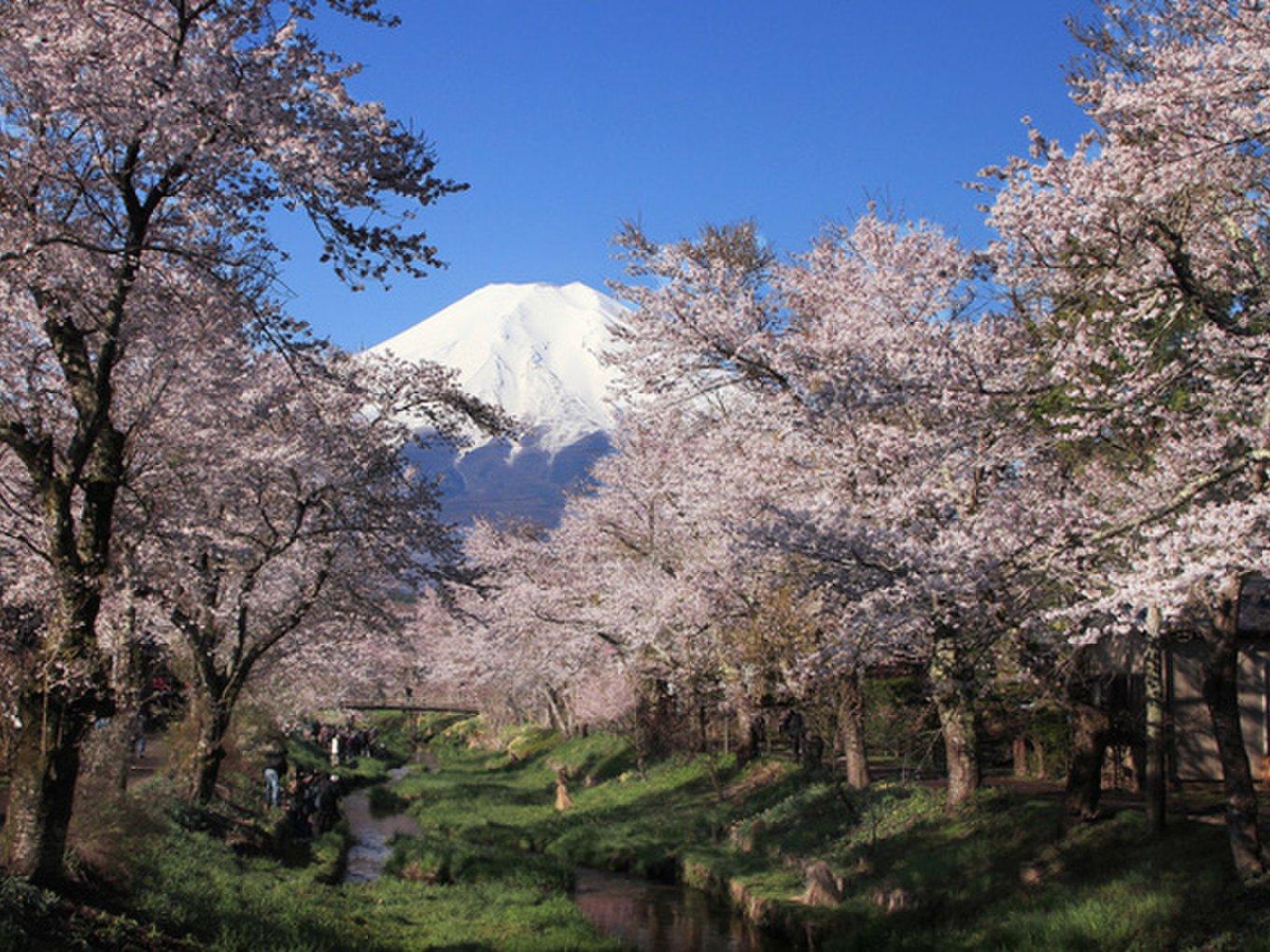 絶景風景