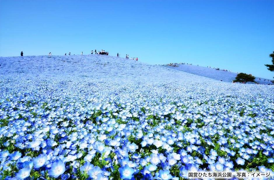 絶景風景