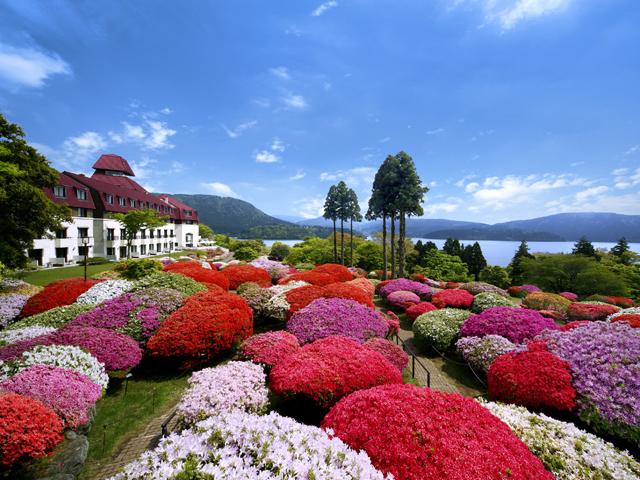 絶景風景