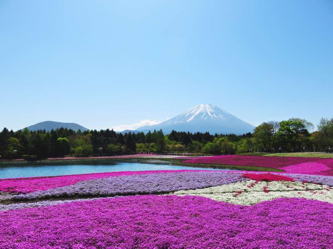 絶景風景