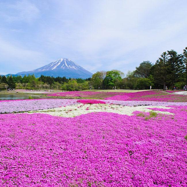 絶景風景