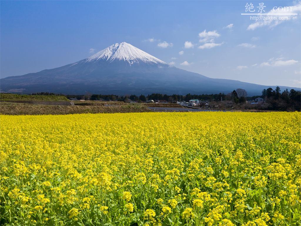 絶景風景