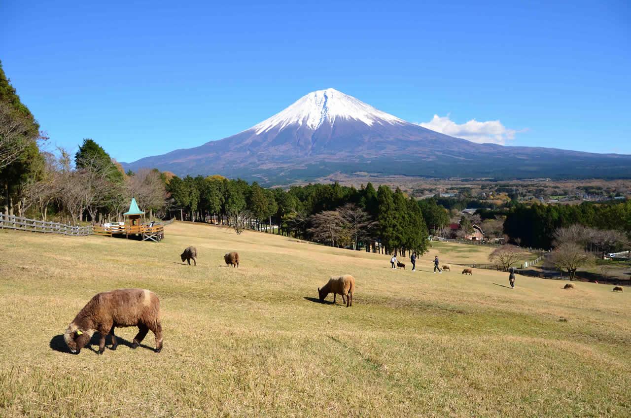 絶景風景