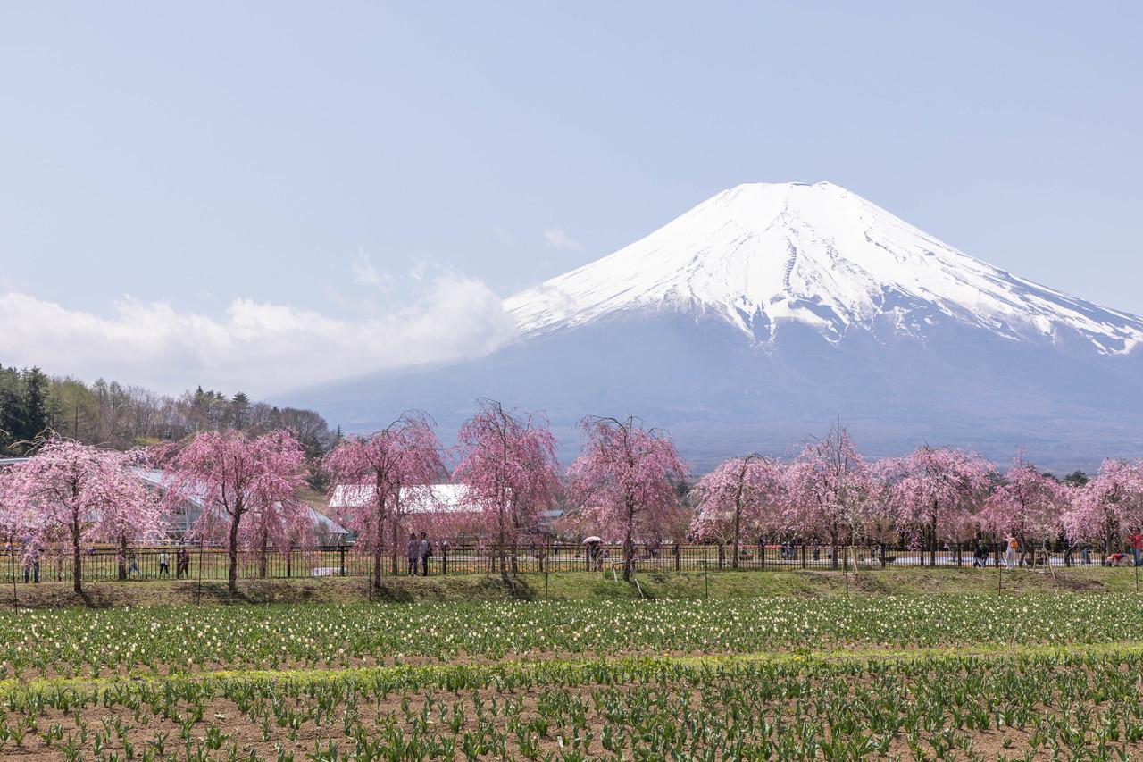 絶景風景