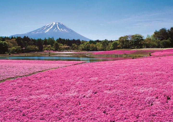 絶景風景