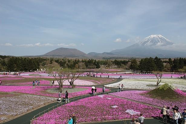 絶景風景