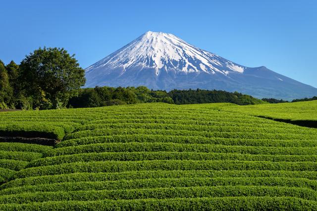 絶景風景