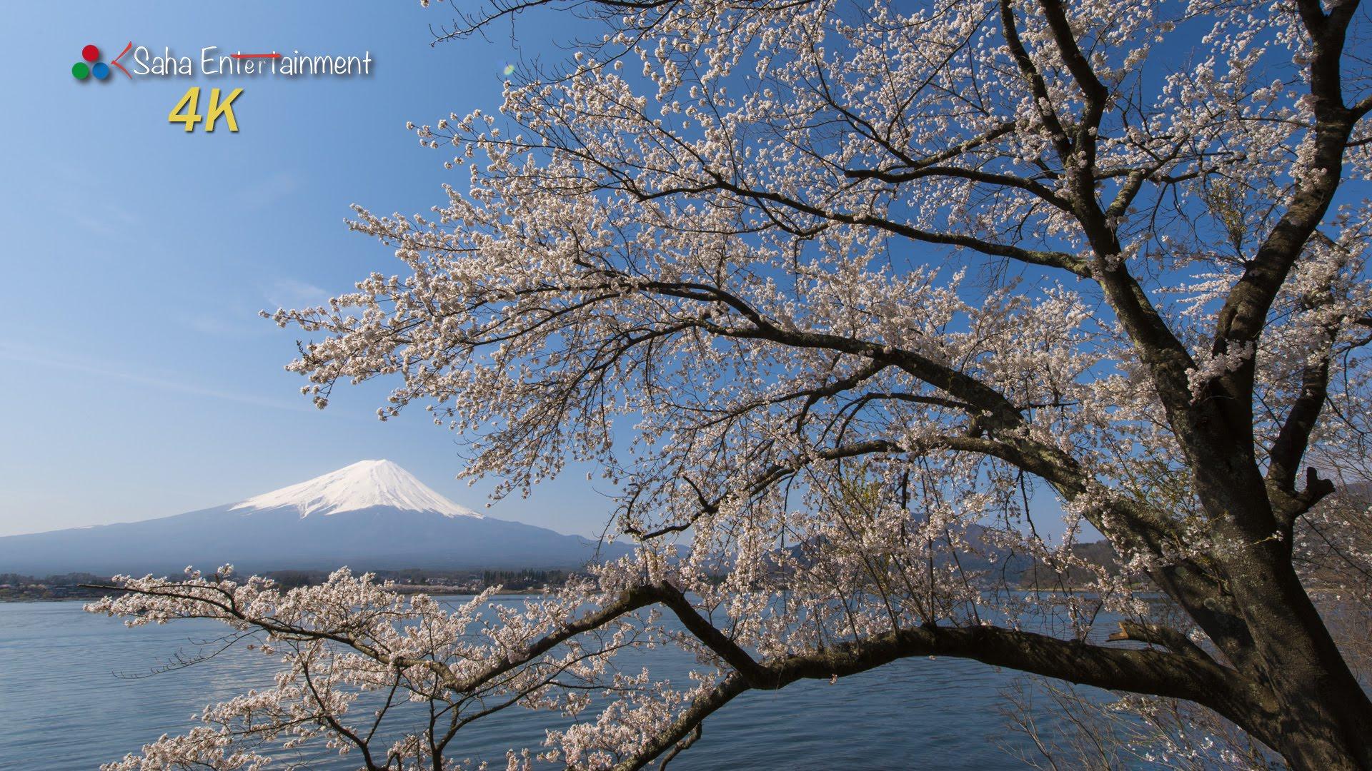 絶景風景