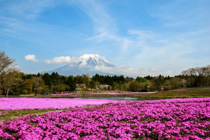 絶景風景