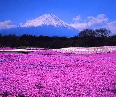 絶景風景