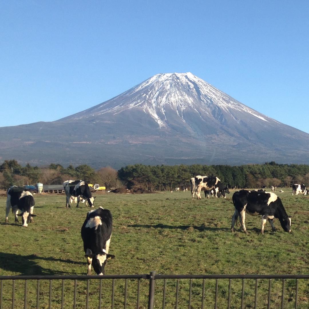 絶景風景