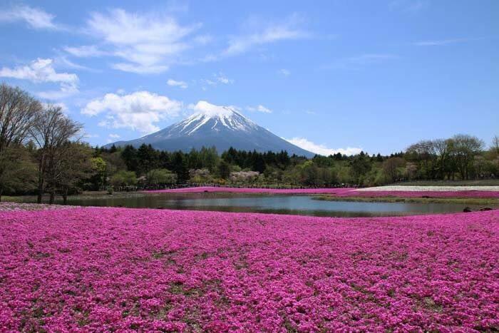 絶景風景