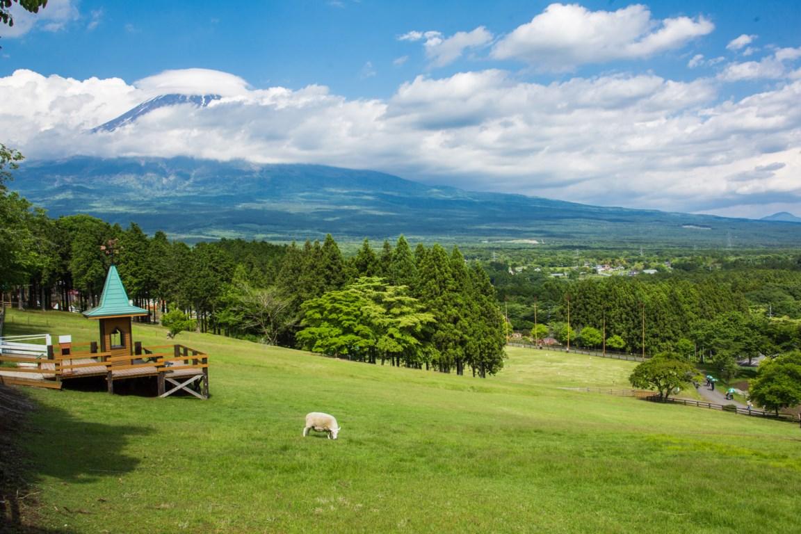 絶景風景