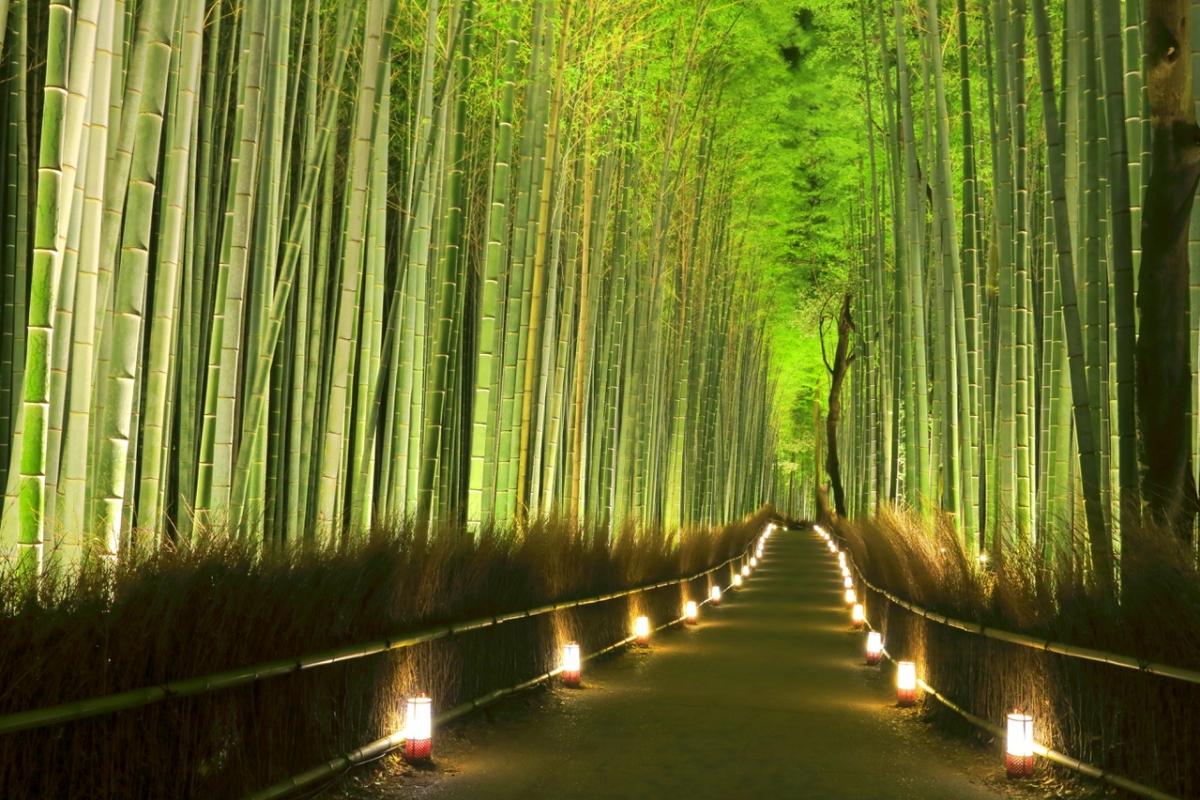 絶景風景