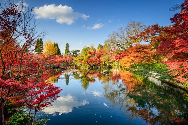 絶景風景