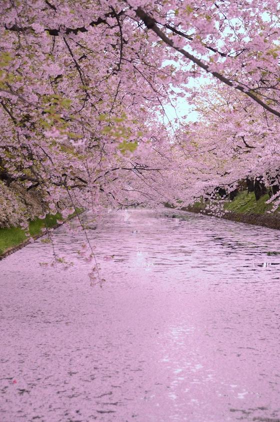 絶景風景